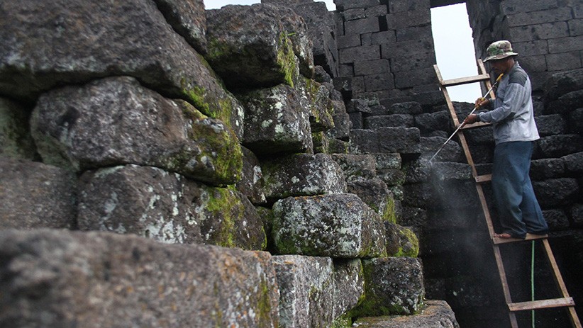 Perawatan Candi Jago Malang Berusia 753 Tahun Peninggalan Raja Kertanegara - Bagian 2
