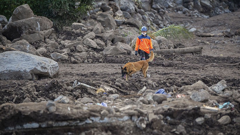 Alat Berat hingga Anjing Pelacak Cari Korban Tertimbun Tanah Longsor di NTT - Bagian 2