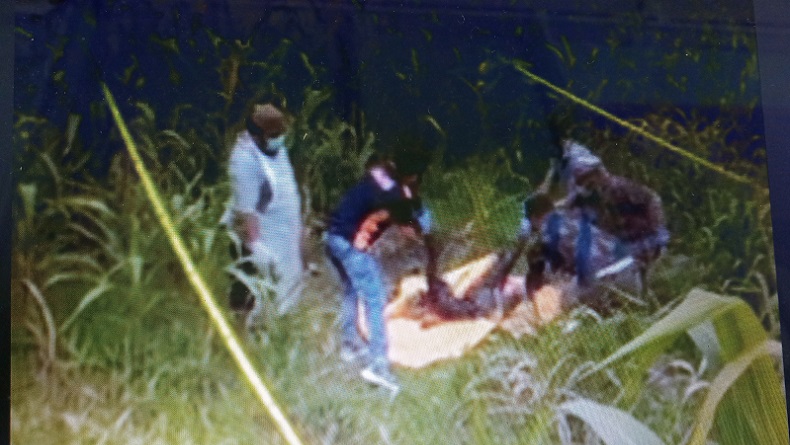 Penemuan Mayat Membusuk di Kebun Jagung Aceh Tenggara, Ini Identitasnya   