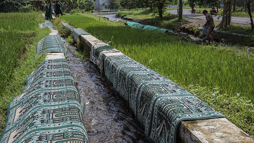 Tradisi Mencuci Karpet Musala di Sungai Jelang Ramadan - Bagian 2