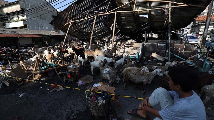 Begini Suasana Pasar Kambing Tanah Abang Pascakebakaran - Bagian 4