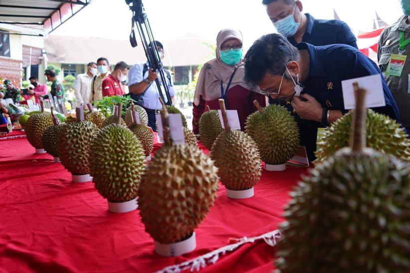 Tumbuh Positif, Wagub Sumbar: Sektor Pertanian Tulang Punggung Ekonomi Nasional