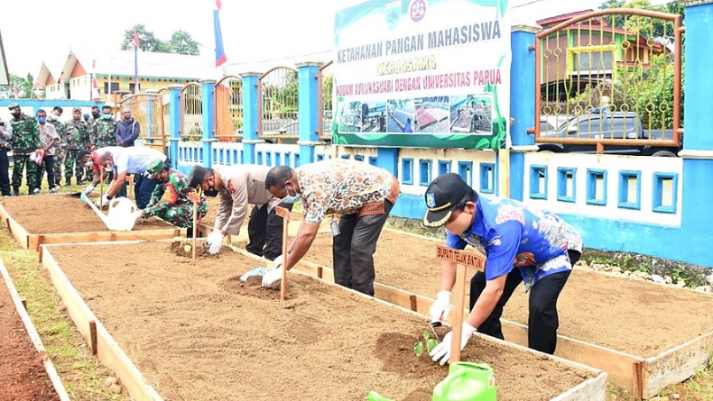 title Kodam XVIII/Kasuari dan Unipa Kolaborasi Buat Program Ketahanan Pangan Mahasiswa Kodam XVIII/Kasuari dan Unipa Kolaborasi Buat Program Ketahanan Pangan Mahasiswa