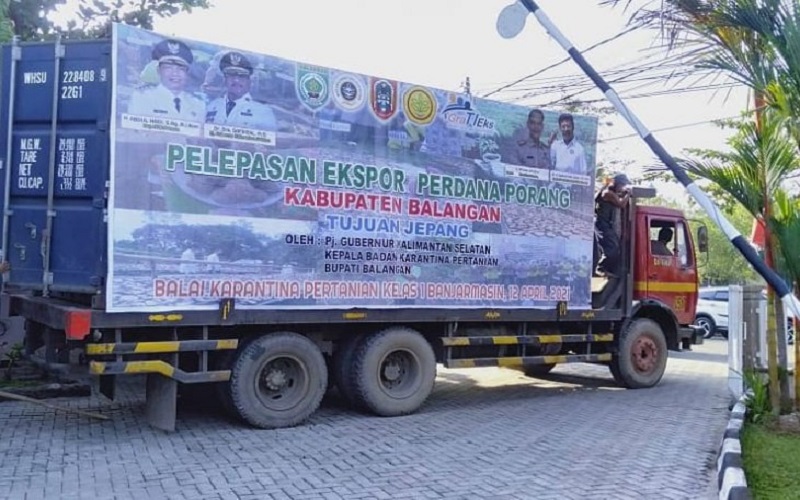 Wow! 10 Ton Keripik Porang asal Balangan Diekspor ke Jepang