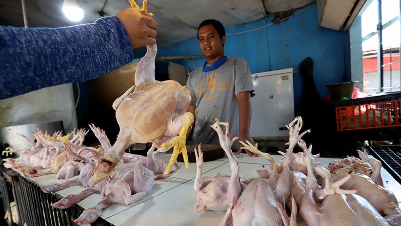 Harga Telur dan Daging Ayam Naik - Bagian 2