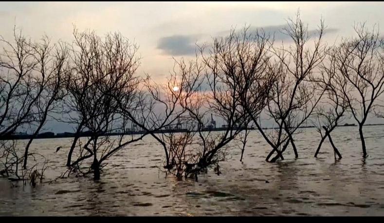 Potret Makam Tambak Lorok Semarang Jadi Lautan, Patok dan Batu Nisan Hilang Ditelan Ombak