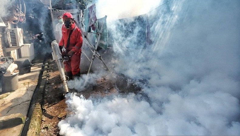 20 Kasus DBD di Ambon sejak Januari hingga April 2021, Masyarakat Diminta Jaga Kebersihan 