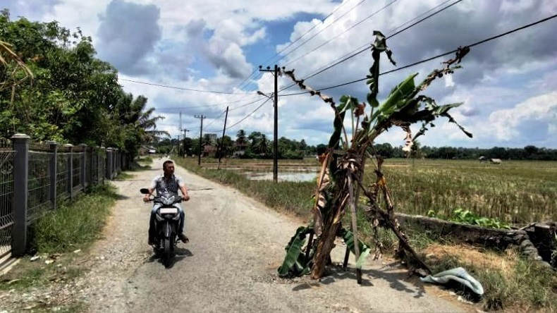 Tak Kunjung Diaspal, Badan Jalan Desa di Nagan Raya Ditanami Pisang 