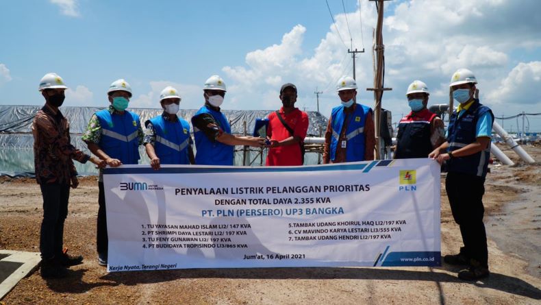 PLN Babel Penuhi Kebutuhan Listrik 7 Tambak Udang di Bangka