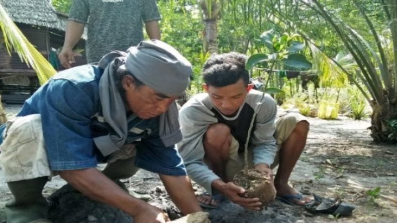 Pulihkan Ekonomi Nasional, Babel Aktifkan UPTD KPHP Tanam Mangrove 2.240 Hektare