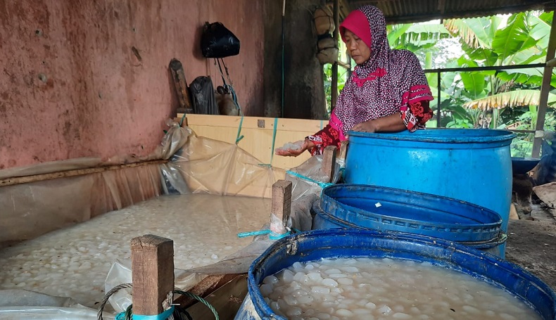 Perlu Proses Panjang agar Kolang Kaling Aman Dikonsumsi, Begini Cara Mengolahnya
