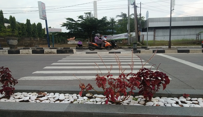 Alih-alih Ingin Indah, Pembuatan Zebra Cross di Majalengka Bikin Tepok Jidat