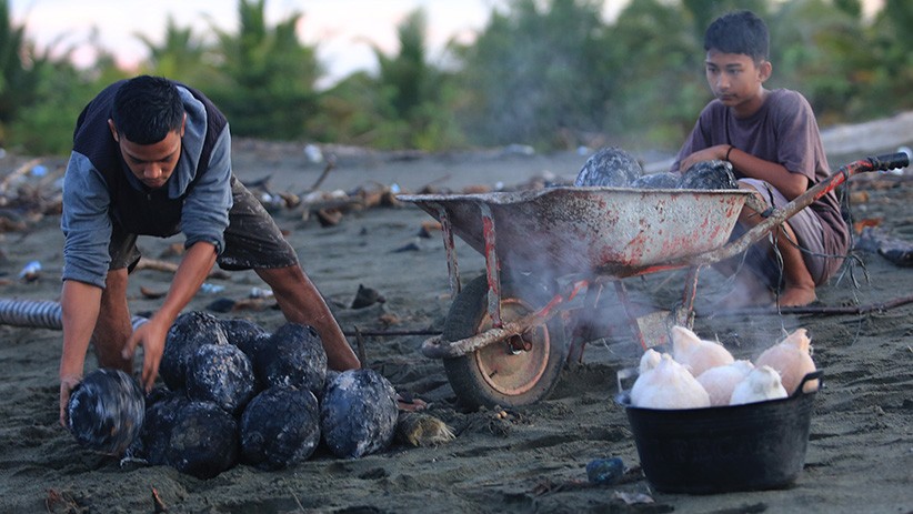 Kelapa Muda Bakar Khas Bulan Ramadan, Dijual Rp10.000 per Buah - Bagian 1