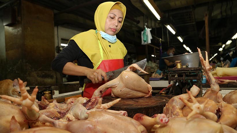Harga Daging Ayam Merangkak Naik di Surabaya - Bagian 3