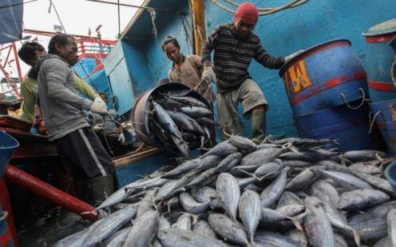 Bahaya, Daging Ikan Giling Mengandung Boraks Beredar di Baturaja