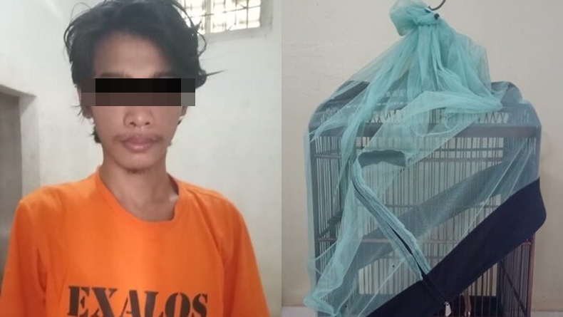 Jual Burung Curian, Pemuda di Lampung Tengah Transaksi dengan Korban dan Polisi