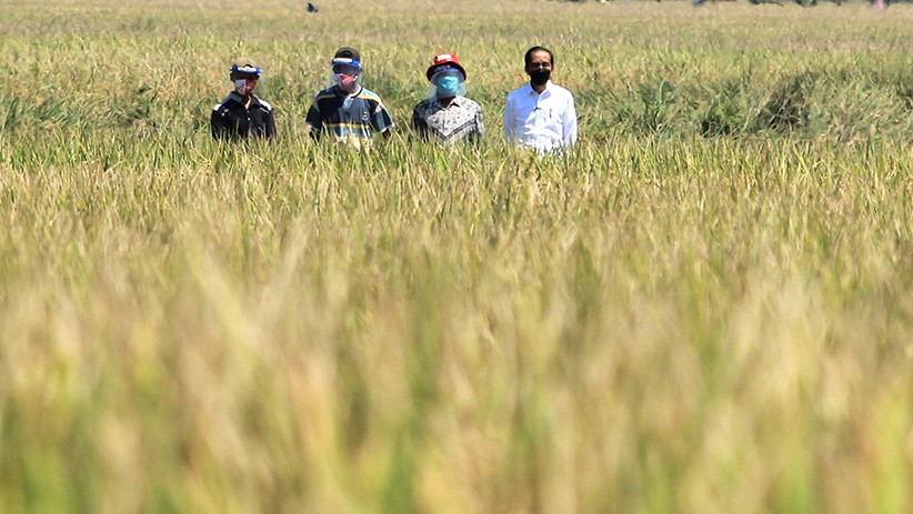 Hadiri Panen Raya, Presiden Jokowi Dengar Keluhan Petani Indramayu - Bagian 1