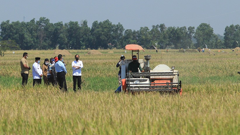 Presiden Jokowi Akan Pantau Stabilitas Harga Pertanian di Malang 