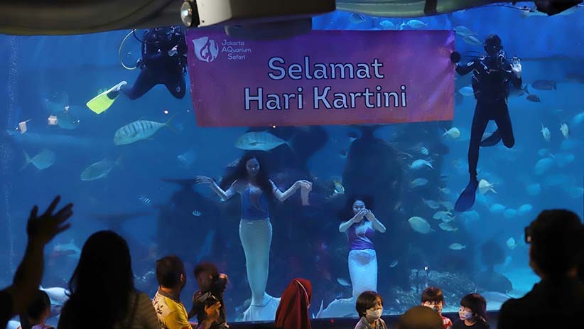 Ini Dia Para Penyelam Perempuan Jakarta Aquarium Safari - Bagian 3