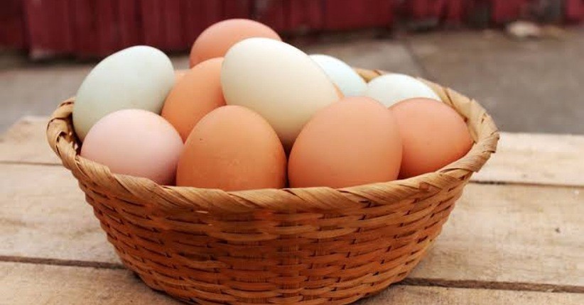 Banyak yang Keliru, Ternyata seperti Ini Cara Menyimpan Telur yang Benar di Kulkas