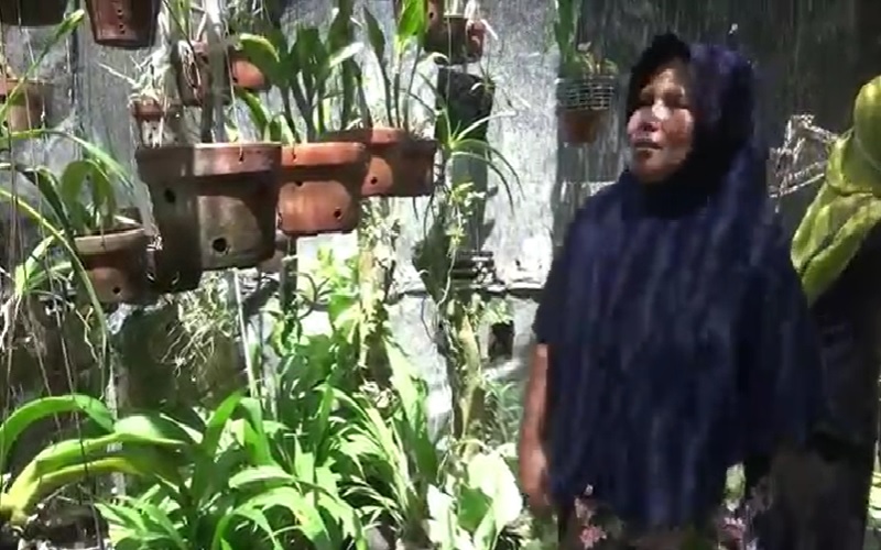 Cerita Sukses Penyandang Disabilitas Beli Tanah dari Jual Tanaman Hias