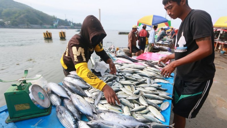 Pasokan dari Nelayan Berkurang, Harga Ikan Laut Segar Tinggi