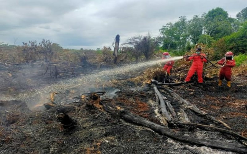 BMKG Sebut Wilayah Sumsel Merah Mudah Terbakar