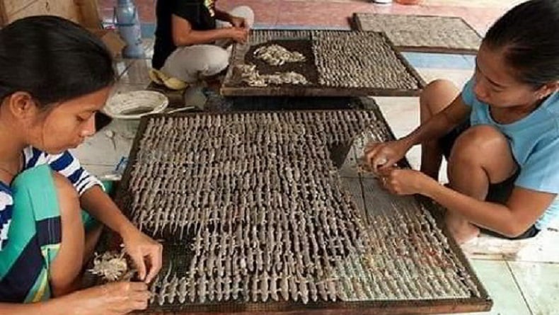 Pria dari Keluarga Miskin Ini Jadi Jutawan Berkat Bisnis Cicak