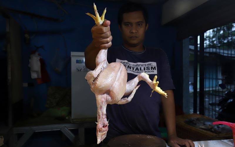Kenaikan Harga Daging Ayam Picu Inflasi April 2021  - Bagian 2