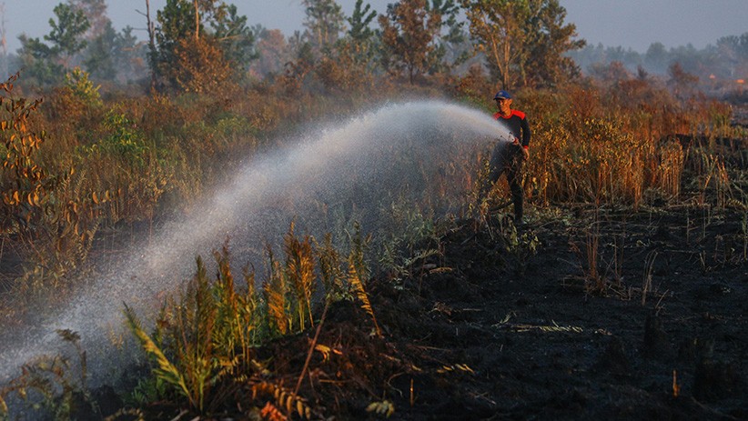 Kebakaran Hutan dan Lahan Seluas 5 Hektare di Palangkaraya Berhasil Dipadamkan - Bagian 2