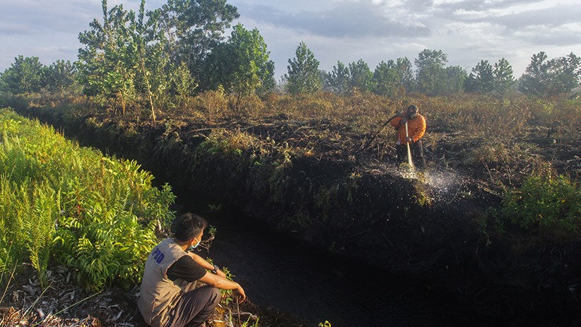 Kebakaran Hutan dan Lahan Seluas 5 Hektare di Palangkaraya Berhasil Dipadamkan - Bagian 3