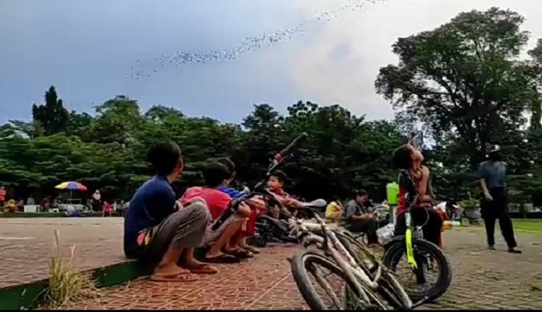Asyik Banget, Ngabuburit di Alun-alun Subang Sambil Nonton Kelelawar Terbang Unik 