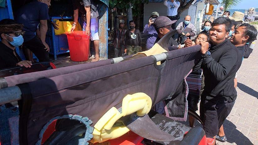 Terlalu, Lucinta Luna Tunggangi Lumba-Lumba Hidung Botol saat Liburan di Bali - Bagian 3