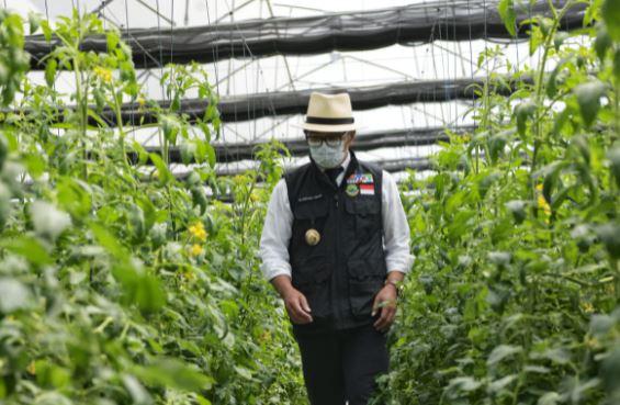Pulihkan Ekonomi Lewat Pariwisata, Ridwan Kamil Luncurkan Agrowisata Cianjur