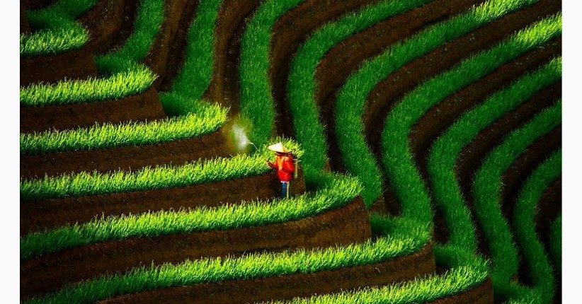 Pesona Terasering Panyaweuyan Majalengka Pemandangan Sawahnya Cantik Berundak Undak