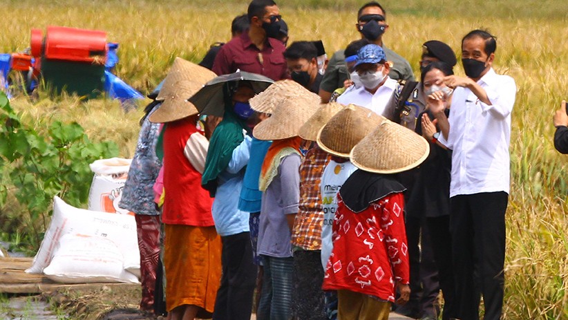 Panen Raya di Malang, Jokowi dan Puan Maharani Berdialog dengan Petani - Bagian 2