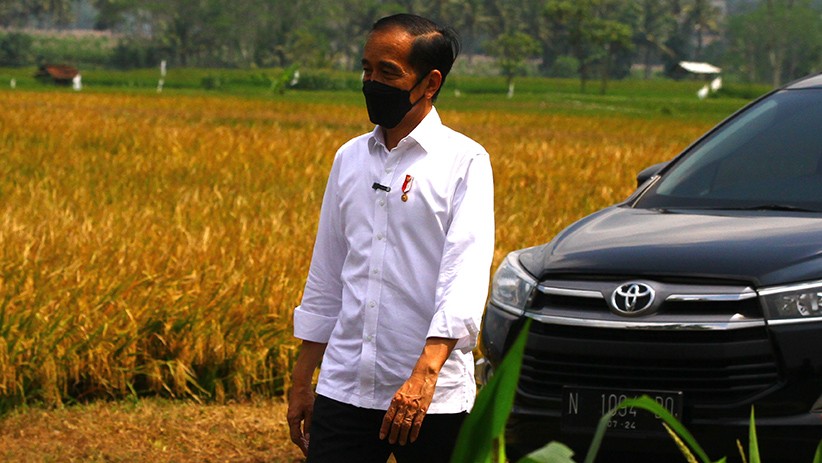 Panen Raya di Malang, Jokowi dan Puan Maharani Berdialog dengan Petani - Bagian 3