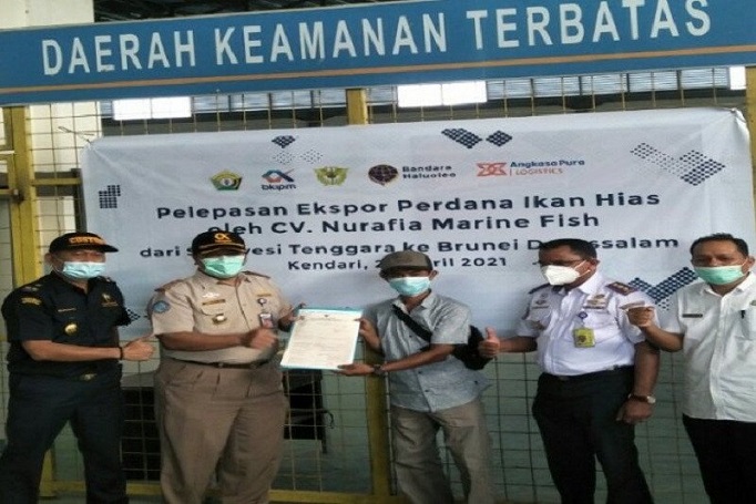 Pertama dalam Sejarah, Sultra Ekspor Ikan Hias ke Brunei Darussalam 