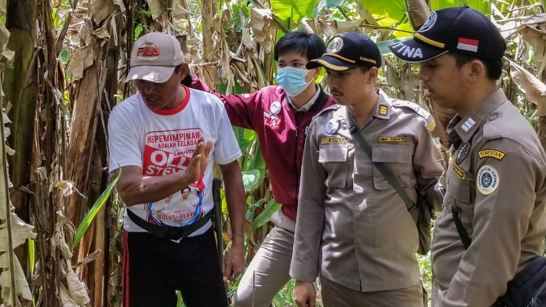 Tingkatkan Ekspor Sulut, Karantina Manado Bidik Serat Abaka