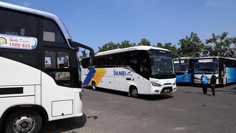 Jelang Mudik Lebaran, Damri Lampung Siapkan 97 Armada Bus