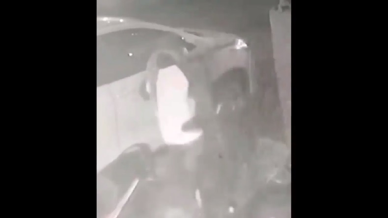 Terekam CCTV, Suami Istri di Makassar Maling Sepeda Lipat Warga