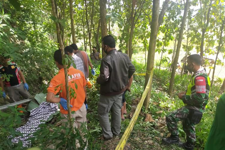 Warga Rembang Geger, Seorang Pemuda Ditemukan Tewas Di Kebun Jati