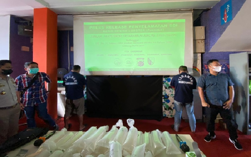 2 Penyelundup 46.000 Benih Lobster Ditangkap Polisi di Kawasan Wisata Ciwidey 