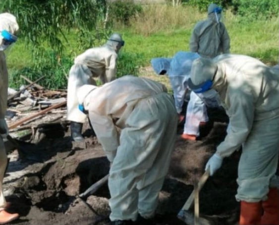 Pasien Meninggal Tembus 217 Orang, Angka Kematian Covid-19 di Babel Naik 1,58 Persen      