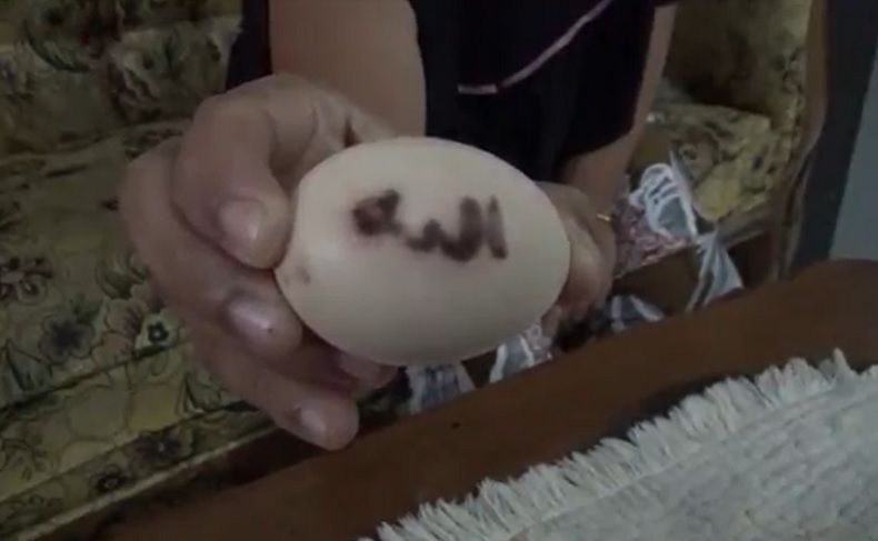 Viral Warga Pandeglang Miliki Telur Lafaz Allah, Semula Dikira Kotoran Ayam