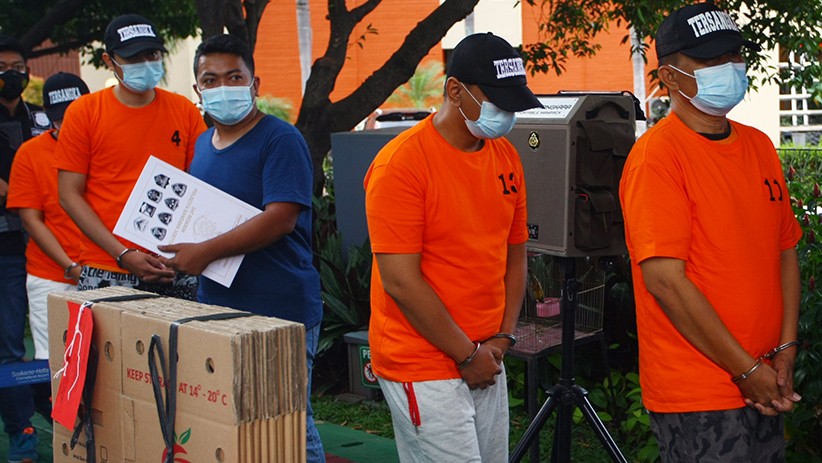 Penyelundupan 73.000 Baby Lobster Senilai Rp7 Miliar ke Singapura - Bagian 3