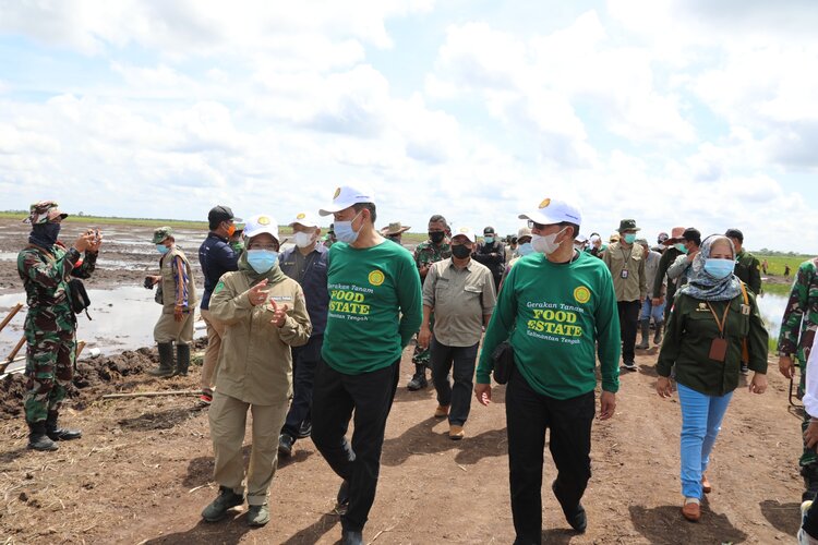 Gerakan Percepatan Tanam Massal Kembali Digelar di Food Estate Dadahup