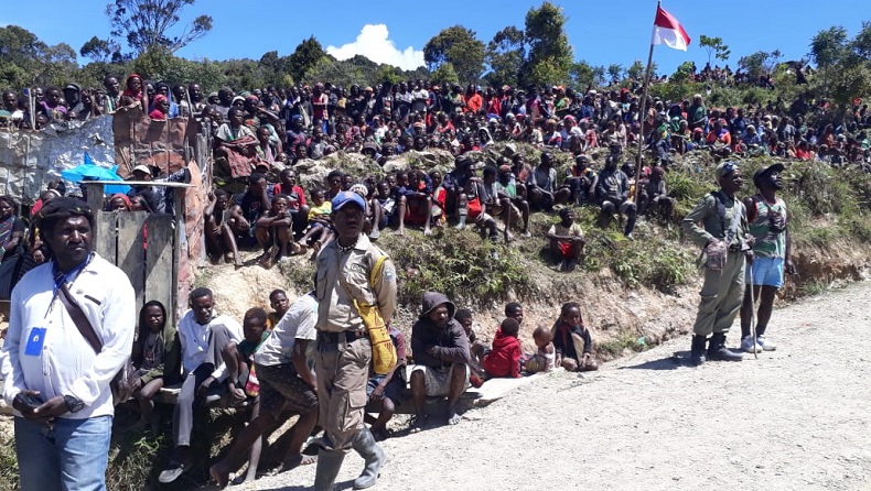 Pesta Adat Perdamaian di Intan Jaya, Marga Sani Bayar 150 Ekor Babi dan Uang Rp180 Juta