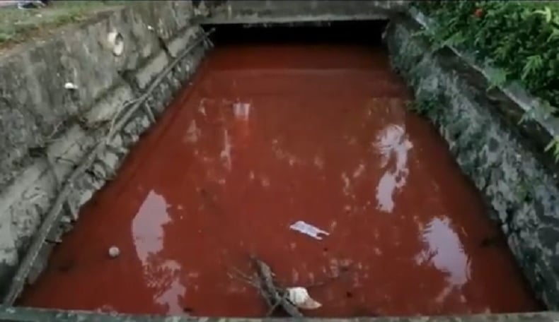 Air Parit di Pontianak Berwarna Merah Darah, Diduga karena Pencemaran Lingkungan