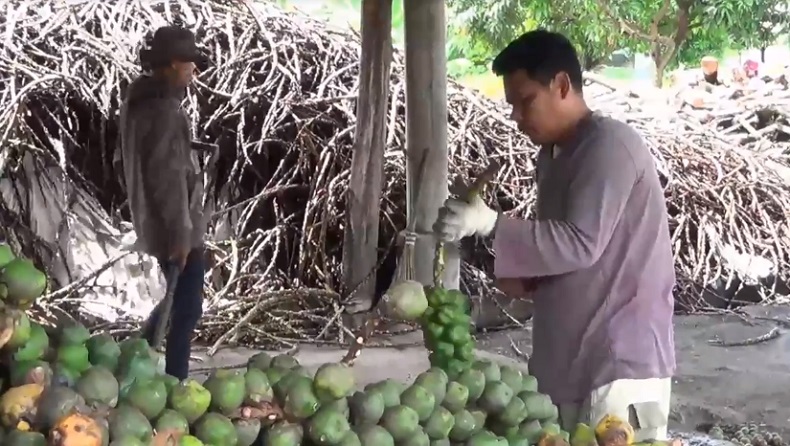Terdampak Covid-19, Permintaan Kolang-Kaling di Lebaran 2021 Menurun